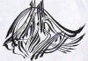 g4.gif (568980 octets)
